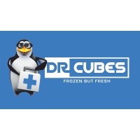 Dr. Cubes logo - Similar company to Ice Please