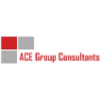 ACE Group Consultants LLC logo - Similar company to Datazen Solutions