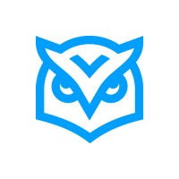 Wise IT Solutions logo - Similar company to Ultra Modern Technologies