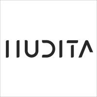 Hudita Teknoloji A.Ş logo - Similar company to Wisnet