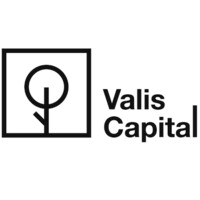 Valis Capital logo - Similar company to Newco Capital Sapi De Cv.