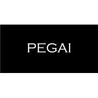 PEGAI logo - Similar company to Pegai