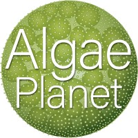 AlgaePlanet.com logo - Similar company to Alaska Blue Economy Center (Abec)
