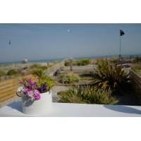 The Beach Hive Holiday Cottage at Pevensey Bay logo - Similar company to Bryn Ffynnon Holiday Cottage