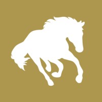 Understand Horses logo - Similar company to Horse & Groom