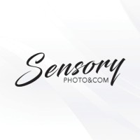 Sensory logo - Similar company to Baitik.Com