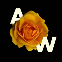 ARTWIFE logo - Similar company to Mykohi