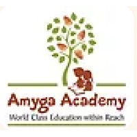 Amyga Foundation logo - Similar company to Nse Ifsc