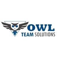 OWL TEAM SOLUTIONS logo - Similar company to Monkeyslab