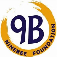 Ninebee Foundation logo - Similar company to Kogson Infotech