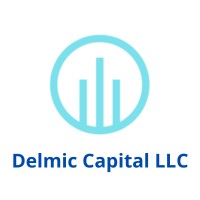 Delmic Capital LLC logo - Similar company to Delmic Group Llc