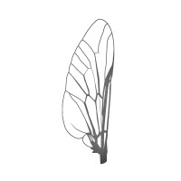 Gadfly Magazine logo - Similar company to The Weasel