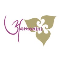 Amodini Studio logo - Similar company to Kaptech Solution