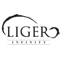 Liger Infinity Sdn Bhd logo - Similar company to Group Lumi