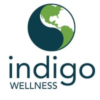 Indigo Wellness Group logo - Similar company to Rapid Rewire Method