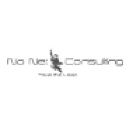 No Net Consulting
