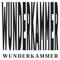 Wunderkammer logo - Similar company to Punctum & Studium Oy