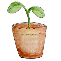 Eline Reijm, Praktijk Voor Kunstzinnige Therapie