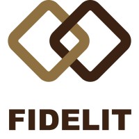 Fidelit logo - Similar company to Fidel It Services Llp