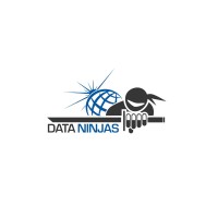 Data Ninjas, Inc. logo - Similar company to Data Ninjas