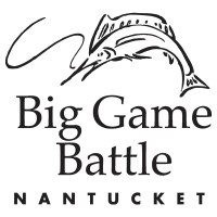 Big Game Battle logo - Similar company to Ca20 Ltd