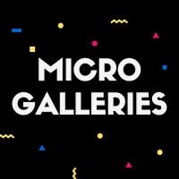 Micro Galleries logo - Similar company to Shakta Technologies Pvt Ltd