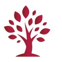 Private Advice Stuttgart - Ihr Finanz- Und Versicherungsmakler
