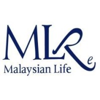 Malaysian Life Reinsurance Group Berhad logo - Similar company to Actomate