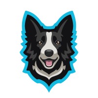 Casi logo - Similar company to Nellcor