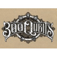 300 Qubits logo - Similar company to Pathmatics (By Sensor Tower)