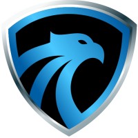 Blue Falcon Six LLC logo - Similar company to Sono Center