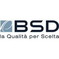 BSD SpA logo - Similar company to Ridge Tooling Llc