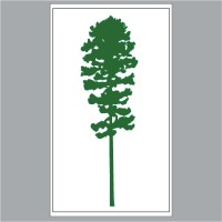 Pinesong Capital Advisors LLC logo - Similar company to Pacific Ios Ventures