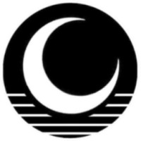 Dark Coin DAO logo - Similar company to Cp Digitally