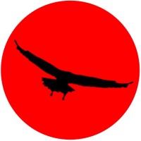 noosagoals - closer to the sun logo - Similar company to Code Snippets Ai