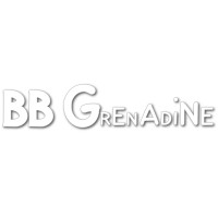 BB Grenadine SL logo - Similar company to Rigel Media