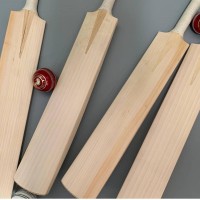 Woodberry Cricket logo - Similar company to Fluentpro