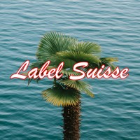 Label Suisse Festival logo - Similar company to Mx3