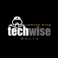 Techwise Malta logo - Similar company to Self-Employed