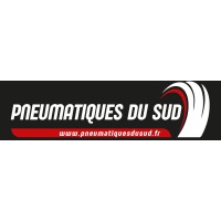 PNEUMATIQUES DU SUD logo - Similar company to Gift Morocco