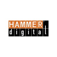 Hammer Digital logo - Similar company to Future Bridge Global