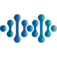 Scithetic logo - Similar company to Iits Consulting