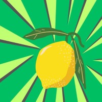 Lemonn logo - Similar company to Designati Services