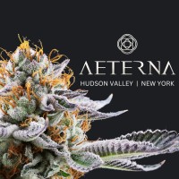 Aeterna Cannabis logo - Similar company to Hydroponic Research