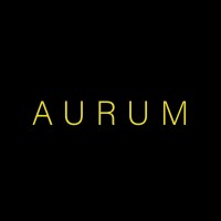 Aurum Control s.r.o logo - Similar company to Aurum Agenсy Spol. S R.O