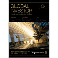 The Global Investor logo - Similar company to Afd Software