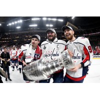 BluShark Digital logo - Similar company to BluShark Media