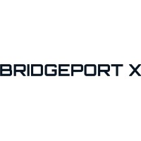Bridgeport X logo - Similar company to Delmic Group Llc