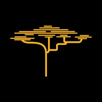 Savannah Group logo - Similar company to Kniht Technologies