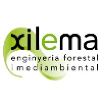 Xilema
